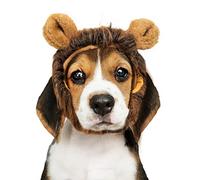 Crosses Lion Mane for Dogs, Lion Mane for Cat, Wig with Ears, Adjustable, for Dog and Cat Lion Disguise, for Cosplay, Holidays, Photo Shoots Measure 8 CM
