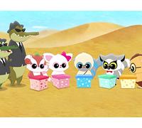 Crossing the Dangerous Desert