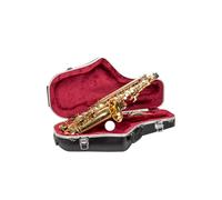 Crossrock Alto Saxophone Case - Contoured Black Diamond Texture, Deep Red Velvet Interior, Accessory Pocket, Security Lock & Detachable Strap (CRA865ASBK)