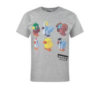 Crossy Road Boys Grey Chracters Short Sleeved T-Shirt - 9-11 Years