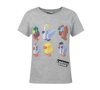 Crossy Road Girls Grey Short Sleeved T-Shirt - 9-10 Years