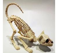 Crouching Cat Skeleton Model - Creepy Scary Animal Bones Lifelike Halloween Decoration Props and Supplies