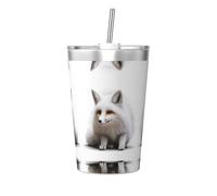 Crouching fox Stainless steel travel bottle with straw water bottle to store hot and cold drinks, handheld cup cone straw.