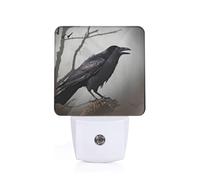 Crow Birds Printed Led Night Light Plug in Wall with Dusk to Dawn Sensor Plug in Night Light for Hallway,Bathroom,Bedroom,Kitchen,Stairs,Acrylic Energy Efficient Night Lamp