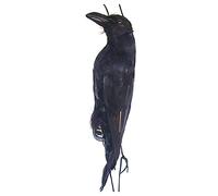 Crow Deterrents Crow Decoy Realistic Hanging Dead Crow Black Feathered Crow Fake Crow Decoy Realistic Bird Model Decoration With Black Feather Bird Model Gardening Decoration