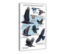 Crow Flying Action Canvas Poster Bedroom Decor Landscape Office Room Decor Gift 20x30inch(50x75cm)