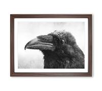 Crow In Alaska Painting Modern Art Framed Print | A2 Walnut Framed Wall Art | Ready to Hang | Modern Animal Picture | Living Room Bedroom Lounge Office