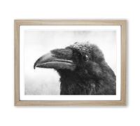 Crow In Alaska Painting Modern Art Framed Print | A3 Oak Framed Wall Art | Ready to Hang | Modern Animal Picture | Living Room Bedroom Lounge Office