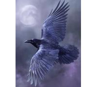 Crow Paint by Numbers Moon Painting by Numbers for Adults Beginner DIY Digital Painting Hobbies for Adults Women with 3 Brush and Acrylic Paints Kit for Home Decor, Wall Art 28x38 inches -zjn2507QT