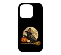 Crow Raven Witch Hat Jack O Lantern Pumpkin Moon Broomstick Case for iPhone 14 Pro