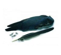 Crow Wings, Fly Tying Feathers, Fly Tying, For Making Trout Flies