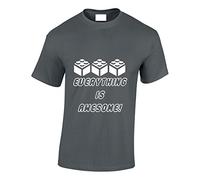 Crown Designs Everything is Awesome Family Movie Film Inspired for Men & Teenagers T-Shirts Tops - Charcoal/Large