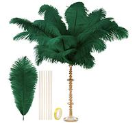 CROWN GUIDE Black Ostrich Feathers Bulk - 10 Piece Craft Kit 28" Long Large Feathers for Crafts Vase Centerpieces Feather Lamp Wedding Party Floral Arrangement