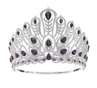 Crown,King Crown,Tiara,Crowns for Women,Princess Crown, Royal Queen Pageant Miss Crown Headdress Bride Tiaras Crowns Prom Wedding Hair Jewelry Accessories(EN8)