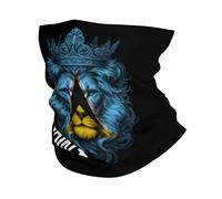 Crown Lion Saint Lucia Flag Unisex Snood Multifunctional Neck Warmer Stretchy Neck Gaiter For Running Sport Summer Motorcycle