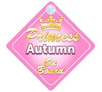 Crown Princess Autumn On Board Personalised Baby / Child Girls Car Sign