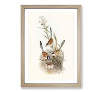 Crowned Wrens by Elizabeth Gould Framed Print | A2 Oak Framed Wall Art | Ready to Hang | Modern Nature Picture | Living Room Bedroom Lounge Office