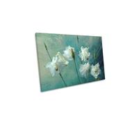 Crowns of Thorns Floral Flowers Green Canvas Wall Art Picture Print CanvasGeeks Green W36 inch x H24 inch x D40mm