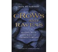 Crows and Ravens: Mystery, Myth, and Magic of Sacred Corvids