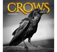 Crows Calendar 2026: Moody & Atmospheric Photography of Intelligent Black Birds