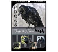 Crows - Through the Seasons (Wall Calendar 2027 DIN A3 portrait), CALVENDO 12 Month Wall Calendar: Crows - a fascinating journey through the year with ... highlight their cheerful and lovable nature.