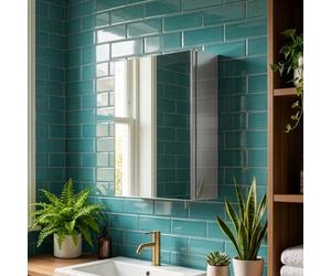 Croydex Avon Single Door Stainless Steel Bathroom Mirror Cabinet (H40Xw30Cm)