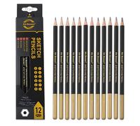 Crrynuo 12 Pcs Sketch Pencils, Profession Drawing for Artists, 12 Grades (14B to H) Set, Graphite Sketching, Premium Art Pencils for Drawing, Shading