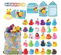 Cruise Rubber Ducks Kits 30 Pcs Assorted Cruising Duck with 30 Cruise Ducks Tags and 40 Rubber Bands with Duck Storage Bag for Cruise Ship Hiding Essentials