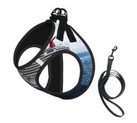 Cruise Ship print Dog Harness and Leash Set, Reflective Adjustable Puppy Vest for Small Medium Large Dogs, Cats