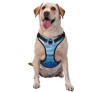 Cruise Ships and Whales Dog Harness - Equipped with pet Leash Reflective Straps and Quick Release Buckles - Suitable for All Types of Dogs