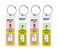 Cruise Tags - Narrow Cruise Ship Luggage Etag Holder with Zip Seal & Steel Loops for Royal Caribbean and Celebrity Cruises (4 Pack)