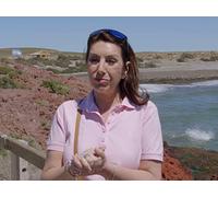 Cruising With Jane McDonald: Christmas on the Rhine