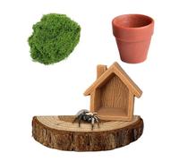 crukakulash Jumping Spider Accessories Set, Magnetic Mini Jumping Spiders Wall-Mounted House with Sunbathing Platform, Feeding Bowl and Grass Bundle Caves Decor