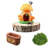 crukakulash Jumping Spider Hide Enclosure Habitat, Mini Creative Mushroom House Reptile Hide with Platforms, Jumping Spider Feeder and Grass Bundle Decoration Accessories