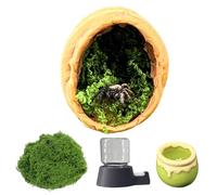 crukakulash Jumping Spider Hide, Walnut Hiding Habitat Jumping Spider Water Dispenser Small Jump Spiders Feeding Dish Jump Spiders Hideout for Snails Geckos Mantises Lizards