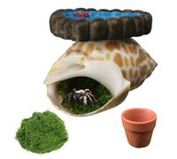crukakulash Jumping Spider Hide with Magnetic Heart Platform, Conch Hiding Habitat Small Jump Spiders Water Dish Jump Spiders Enclosure Accessories for Snails Geckos Mantises Lizards