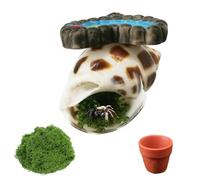 crukakulash Jumping Spider Hide with Magnetic Heart Platform, Conch Hiding Habitat Small Jump Spiders Water Dish Jump Spiders Enclosure Accessories for Snails Geckos Mantises Lizards