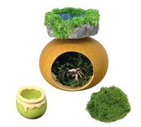 crukakulash Jumping Spider Hide with Platform, Cute Jumping Spider Feeding Dish Jump Spiders Enclosure Accessories for Snails Geckos Mantises Lizards Spiders