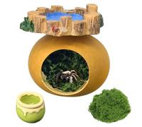 crukakulash Jumping Spider Hide with Platform, Cute Jumping Spider Water Dish Jump Spiders Enclosure Accessories for Snails Geckos Mantises Lizards Spiders