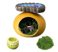 crukakulash Jumping Spider Hide with Platform, Jumping Spider Accessories Cute Jump Spiders Feeding Dish Jump Spiders Enclosure Accessories for Snails Geckos Mantises Lizards