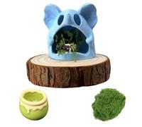 crukakulash Jumping Spiders Hide Accessories Jumping Spider Hiding Cave with Magnetic, Feeder Dish, Grass Bundle Decorations for Jumping Spider Exploration