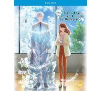 The Ice Guy and His Cool Female Colleague – Crunchyroll – Blu-ray – The Complete Season