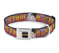 Crunchyroll Pet Collar, Dog Collar Metal Seatbelt Buckle, Dr Stone Title Logo and Gen Asagiri Face Purples, 16 to 23 Inches 1.5 Inch Wide