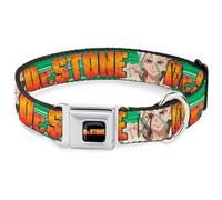 Crunchyroll Pet Collar, Dog Collar Metal Seatbelt Buckle, Dr Stone Title Logo and Suika Face Close Up Greens, 9.5 to 13 Inches 1.0 Inch Wide