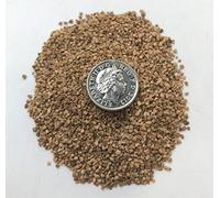 Crushed Walnut Shells - Four Grades Available - Very Fine to Coarse - 500 grams to 1.5 kilo - Abrasive - Pin Cushion Filler (G. 500 grams - Medium grade)
