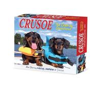 Crusoe the Celebrity Dachshund 2025 Box