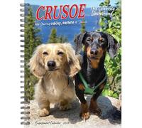 Crusoe the Celebrity Dachshund 2026 Engagement Calendar