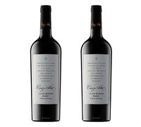 Cruz Alta Grand Reserve Malbec | 2 x 75 ottles | Mendoza Argentina Red Wine | 13.6% ABV | Full-Bodied Malbec | Plum Blackberry & Spice Notes