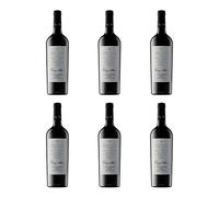 Cruz Alta Grand Reserve Malbec | 6 x 75 ottles | Mendoza Argentina Red Wine | 13.6% ABV | Full-Bodied Malbec | Plum Blackberry & Spice Notes