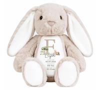 Crwban - Personalised Beige Safari Birth Stat Bunny, Custom Soft Toy for Newborn, Babies Keepsake (Teddy Bear)